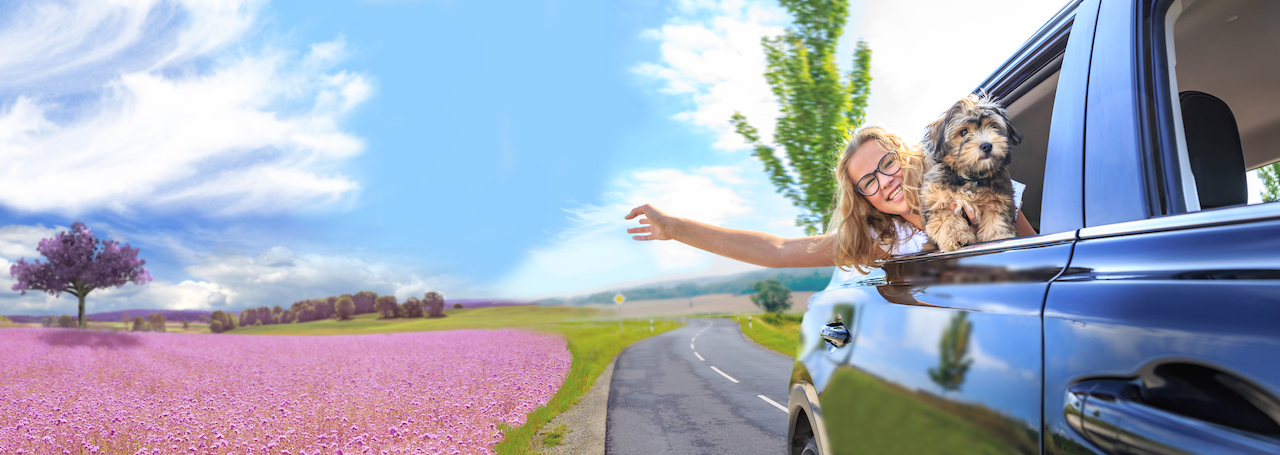 traveling by car